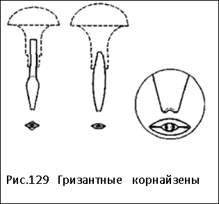 Гризантные корнайзены